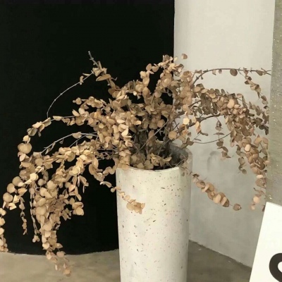 Furry绘画创意灵感Furry群